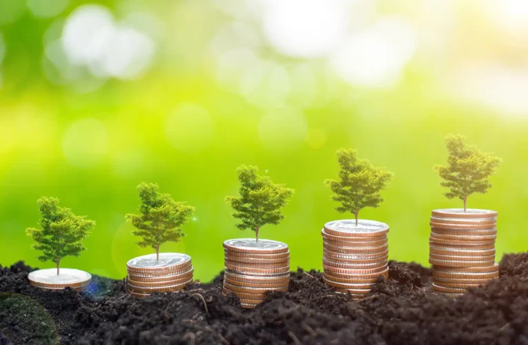 The Rise of Green Bonds: Financing a Sustainable Future