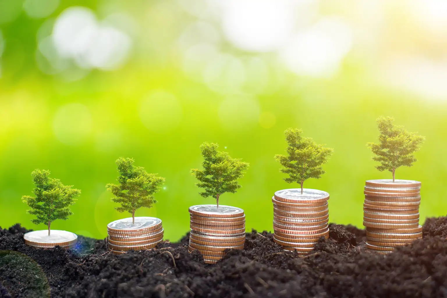 The Rise of Green Bonds: Financing a Sustainable Future